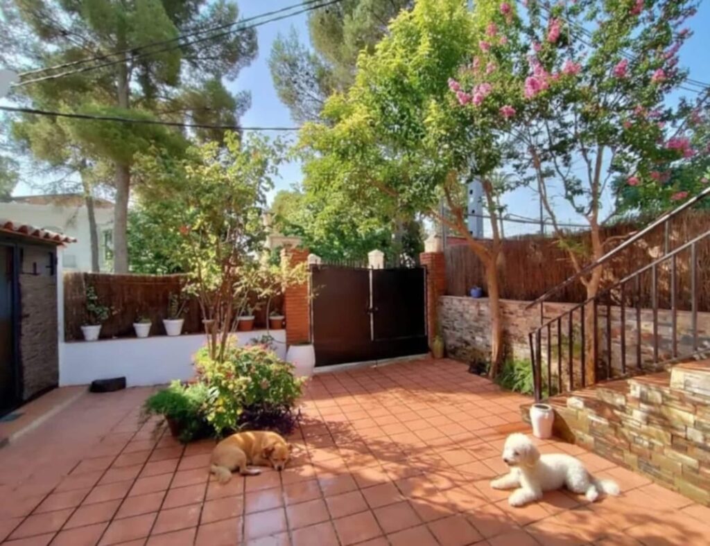 Patio privado de El Molino con plantas y mascotas